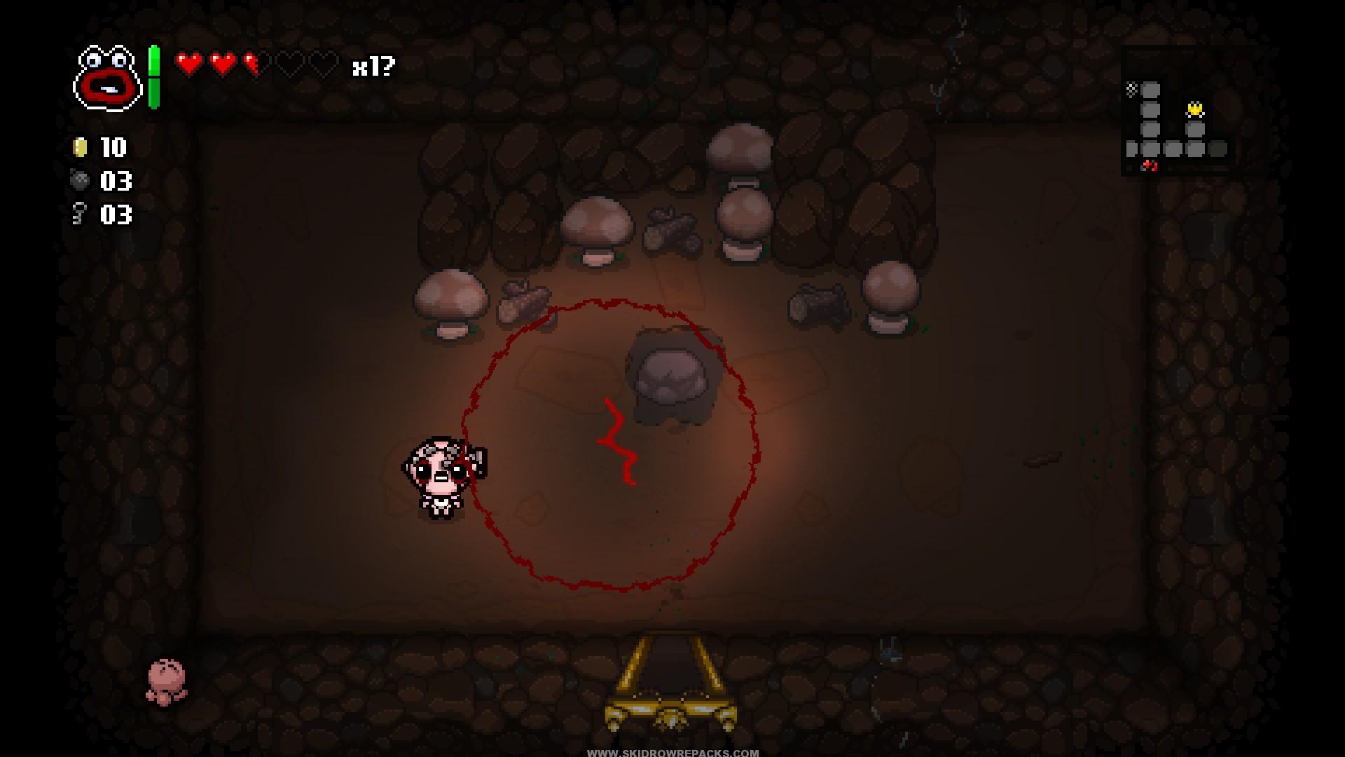 The Binding of Isaac Afterbirth With Update 4-5 Cracked