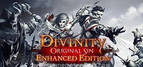 Divinity Original Sin Enhanced Edition Full Version