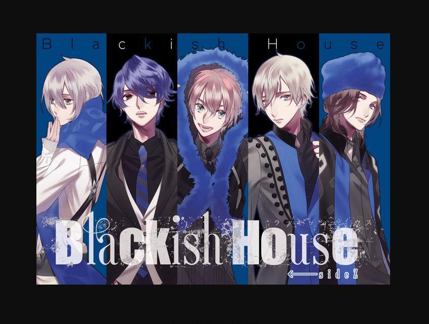 Blackish House ←sideZ